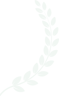 fortuneforexconsultancy.com